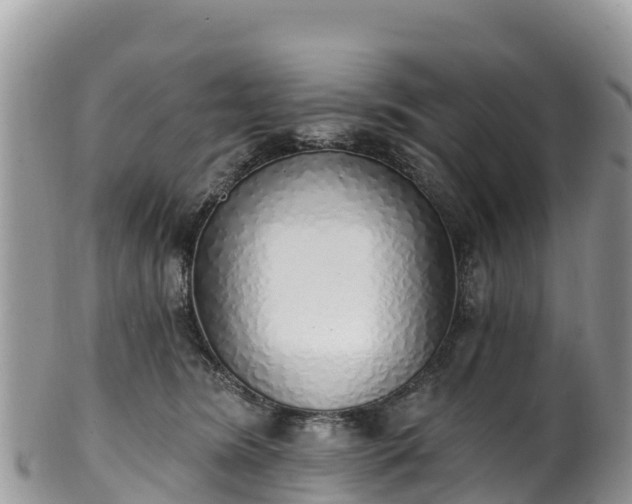 X0000102290420200808011517