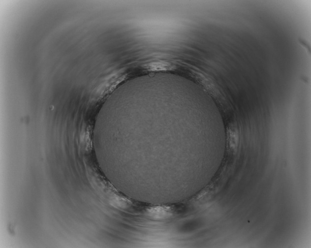 X0000102290422200808011517