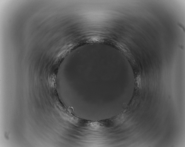 X0000102290423200808011517