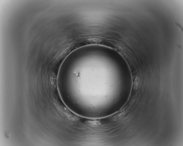 X0000102290424200808011517