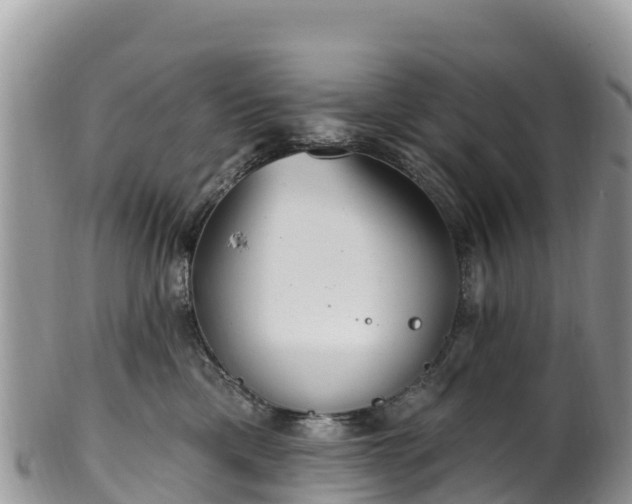 X0000102290425200808011517