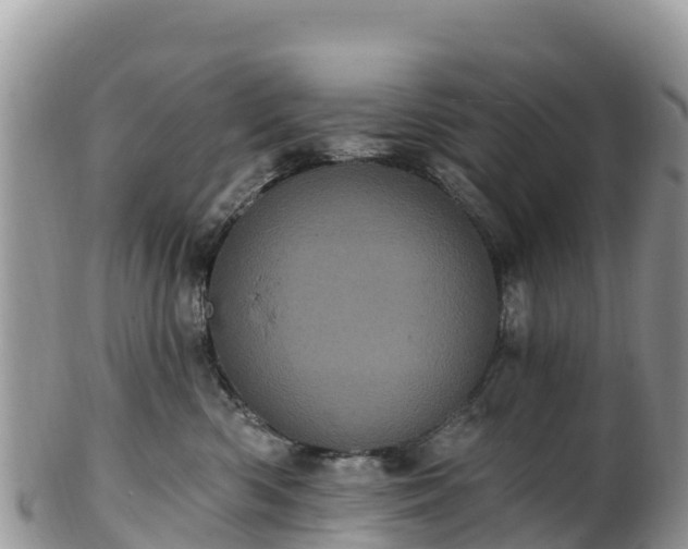 X0000102290426200808011517