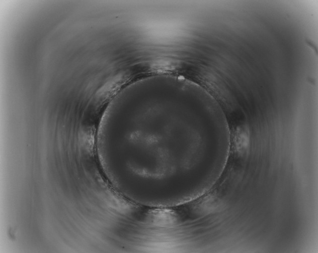 X0000102290427200808011517