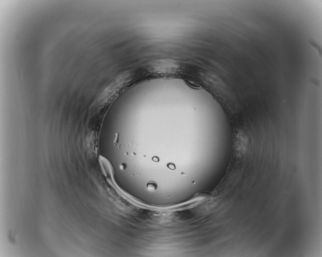 X0000102290428200808011517