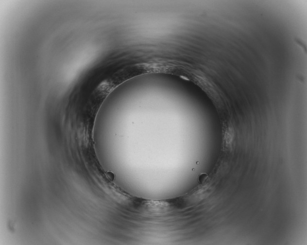 X0000102290429200808011517