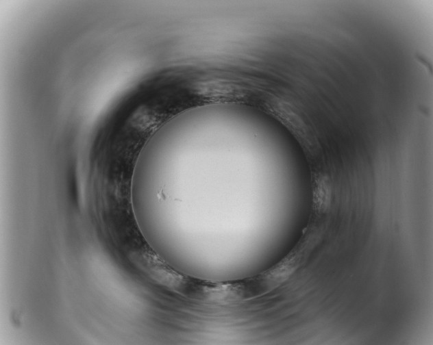 X0000102290430200808011517