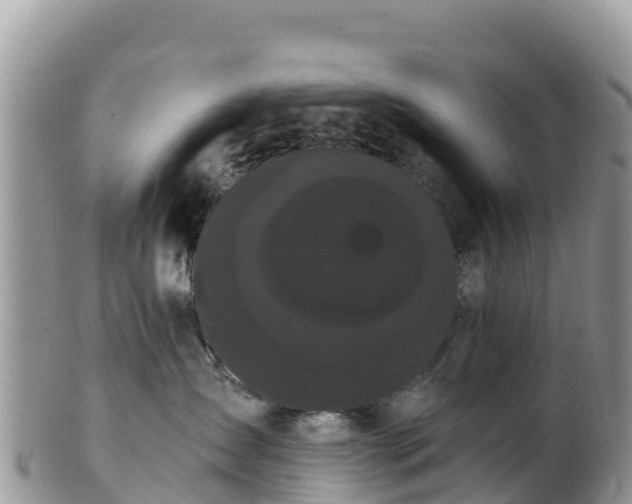 X0000102290431200808011517