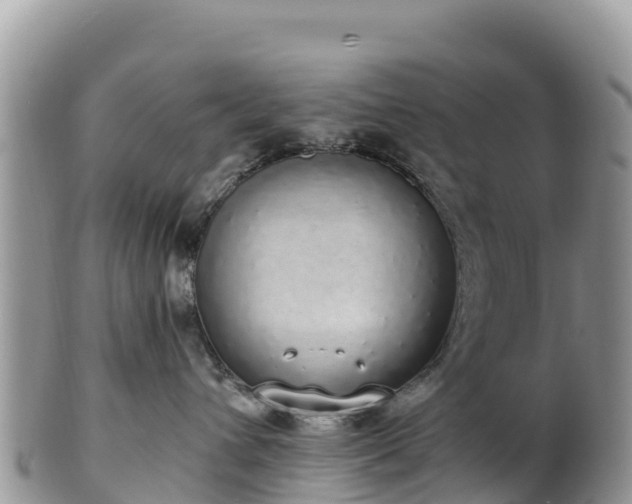 X0000102290432200808011517