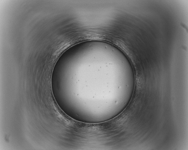 X0000102290433200808011516