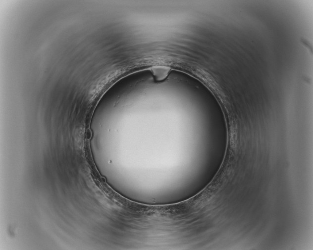 X0000102290434200808011516