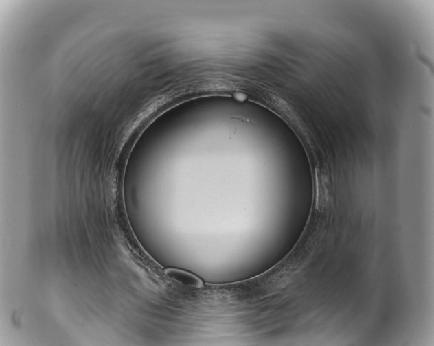 X0000102290435200808011516