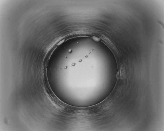 X0000102290436200808011516