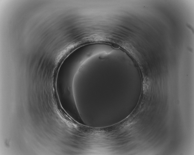 X0000102290438200808011516