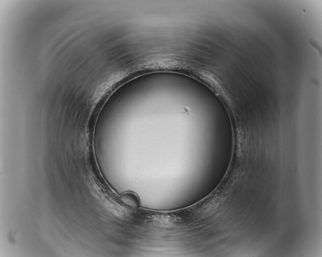 X0000102290439200808011516