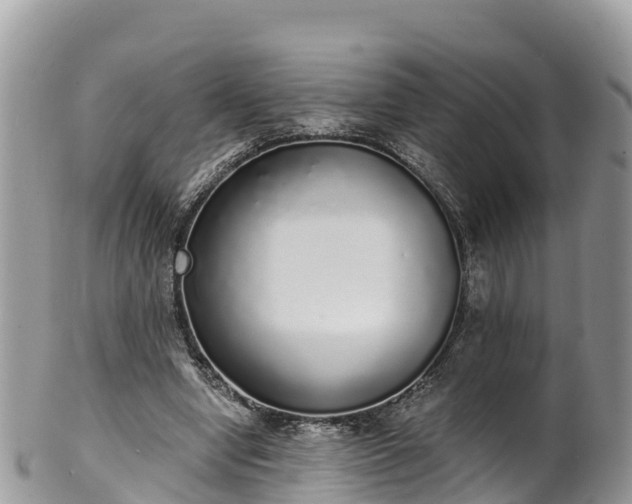 X0000102290442200808011516