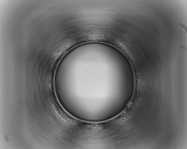 X0000102290443200808011516