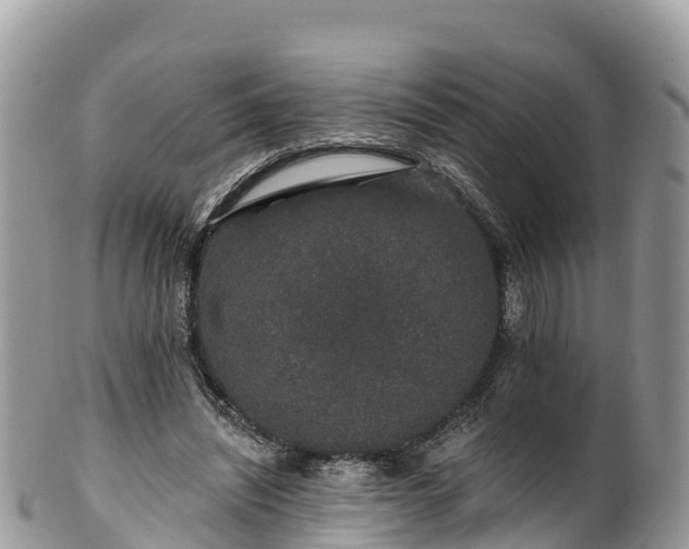 X0000102290444200808011516