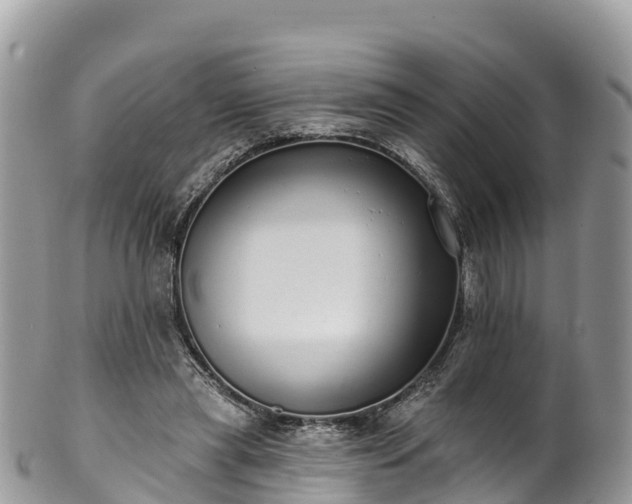 X0000102290445200808011516