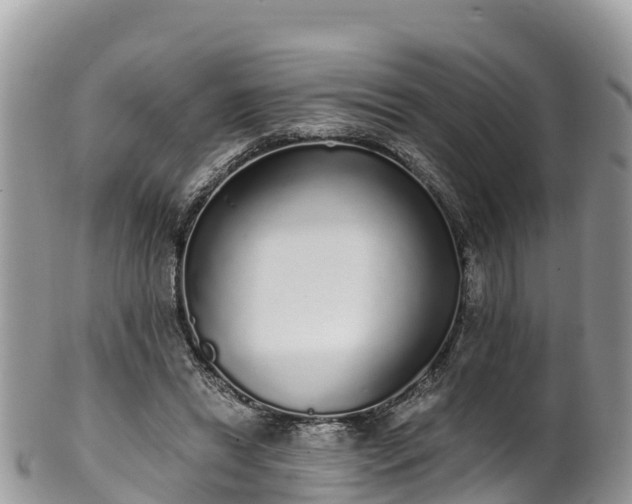 X0000102290446200808011516