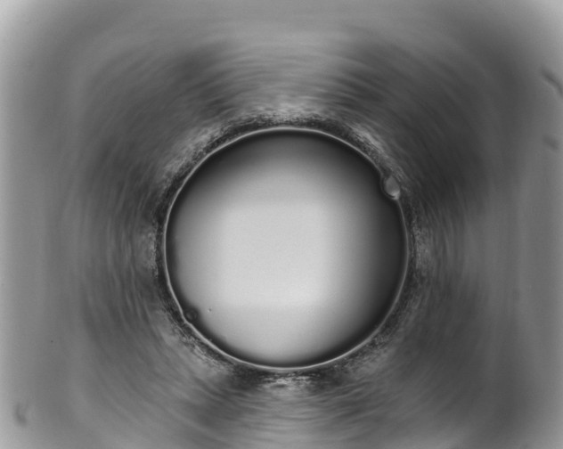 X0000102290447200808011516