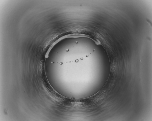 X0000102290448200808011516