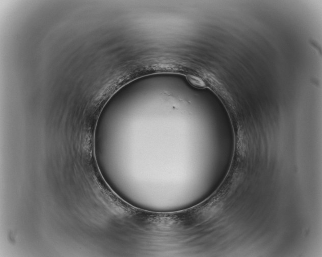 X0000102290449200808011516