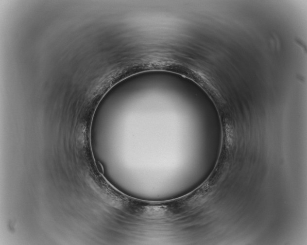 X0000102290451200808011517