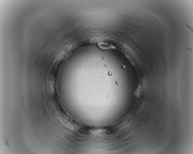 X0000102290452200808011517