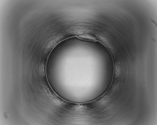 X0000102290453200808011517