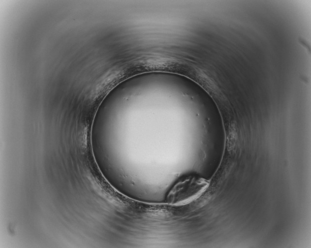 X0000102290454200808011517