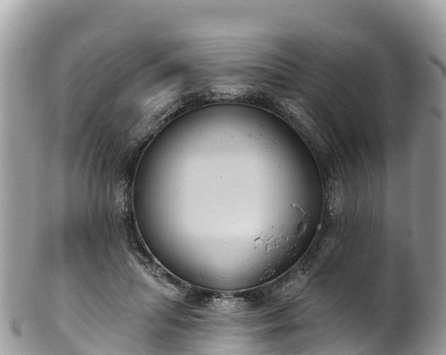 X0000102290455200808011517