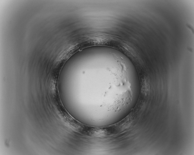 X0000102290456200808011517