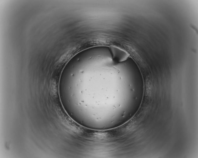 X0000102290457200808011517