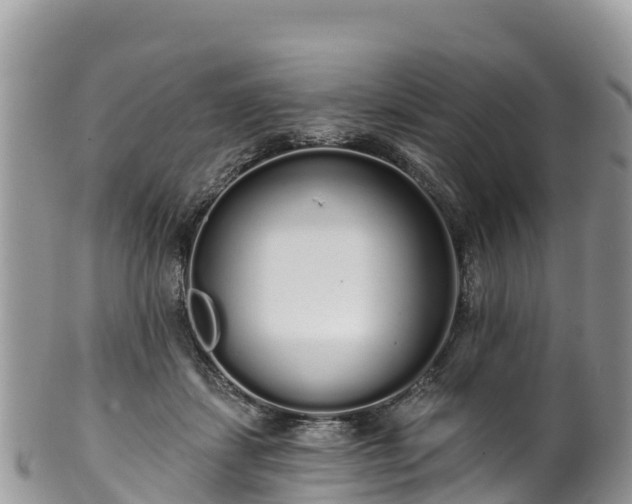 X0000102290459200808011517