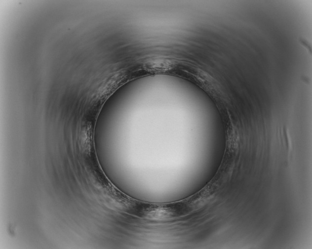 X0000102290460200808011517