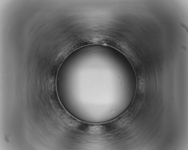 X0000102290461200808011517