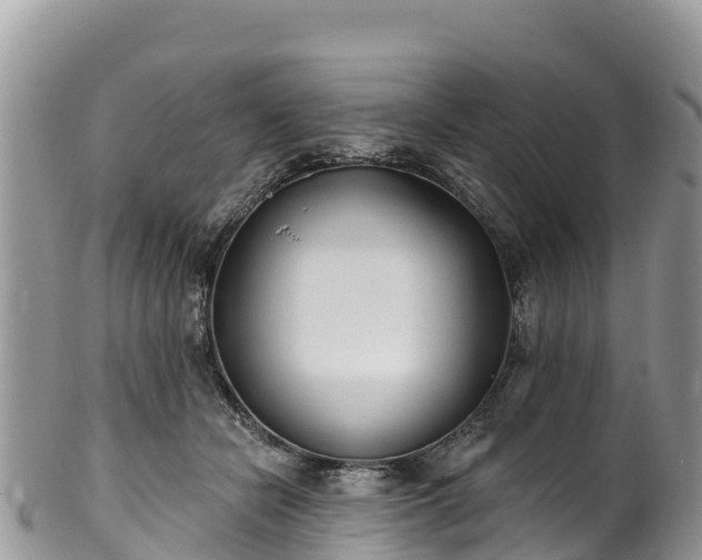 X0000102290462200808011517