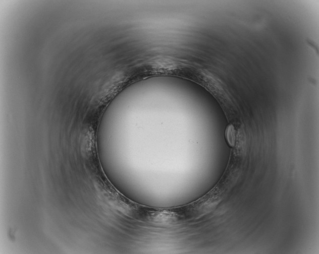 X0000102290463200808011517