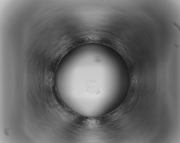 X0000102290464200808011517