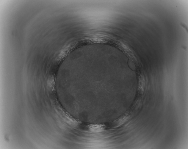 X0000102290465200808011517