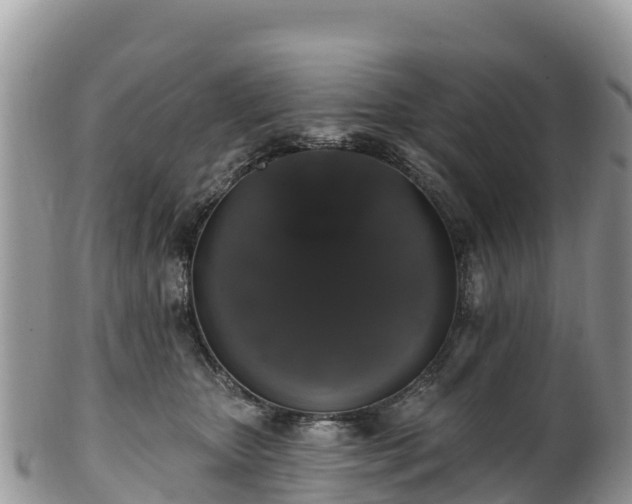 X0000102290467200808011517