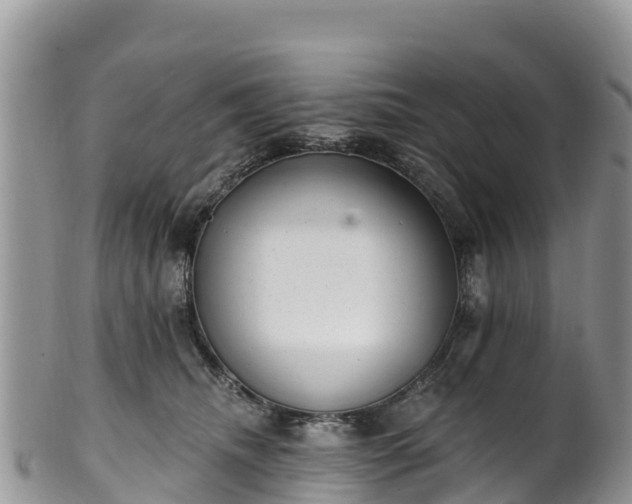 X0000102290468200808011517