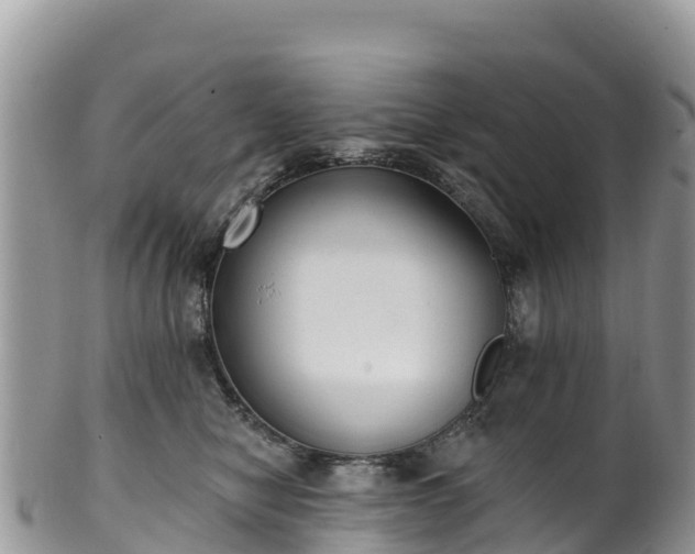 X0000102290470200808011517