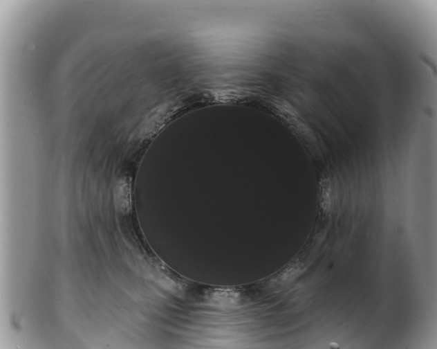 X0000102290471200808011517