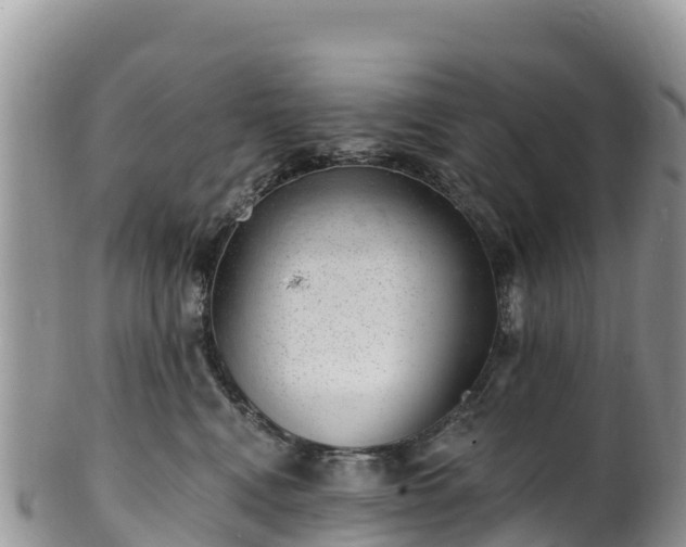 X0000102290472200808011517