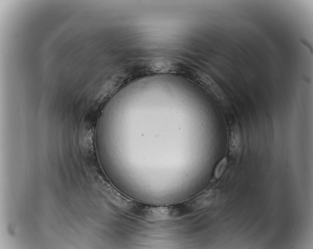 X0000102290473200808011517