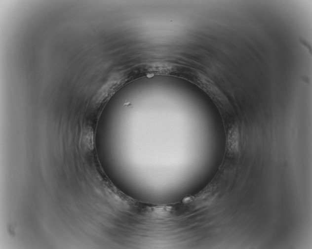 X0000102290474200808011517