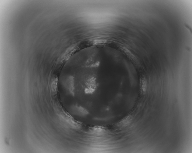 X0000102290475200808011517