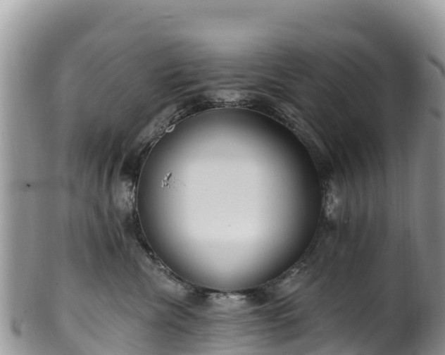 X0000102290476200808011517