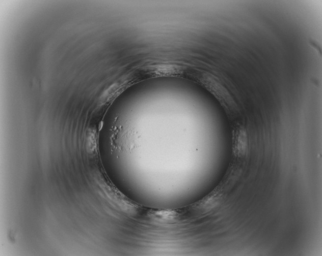 X0000102290478200808011517